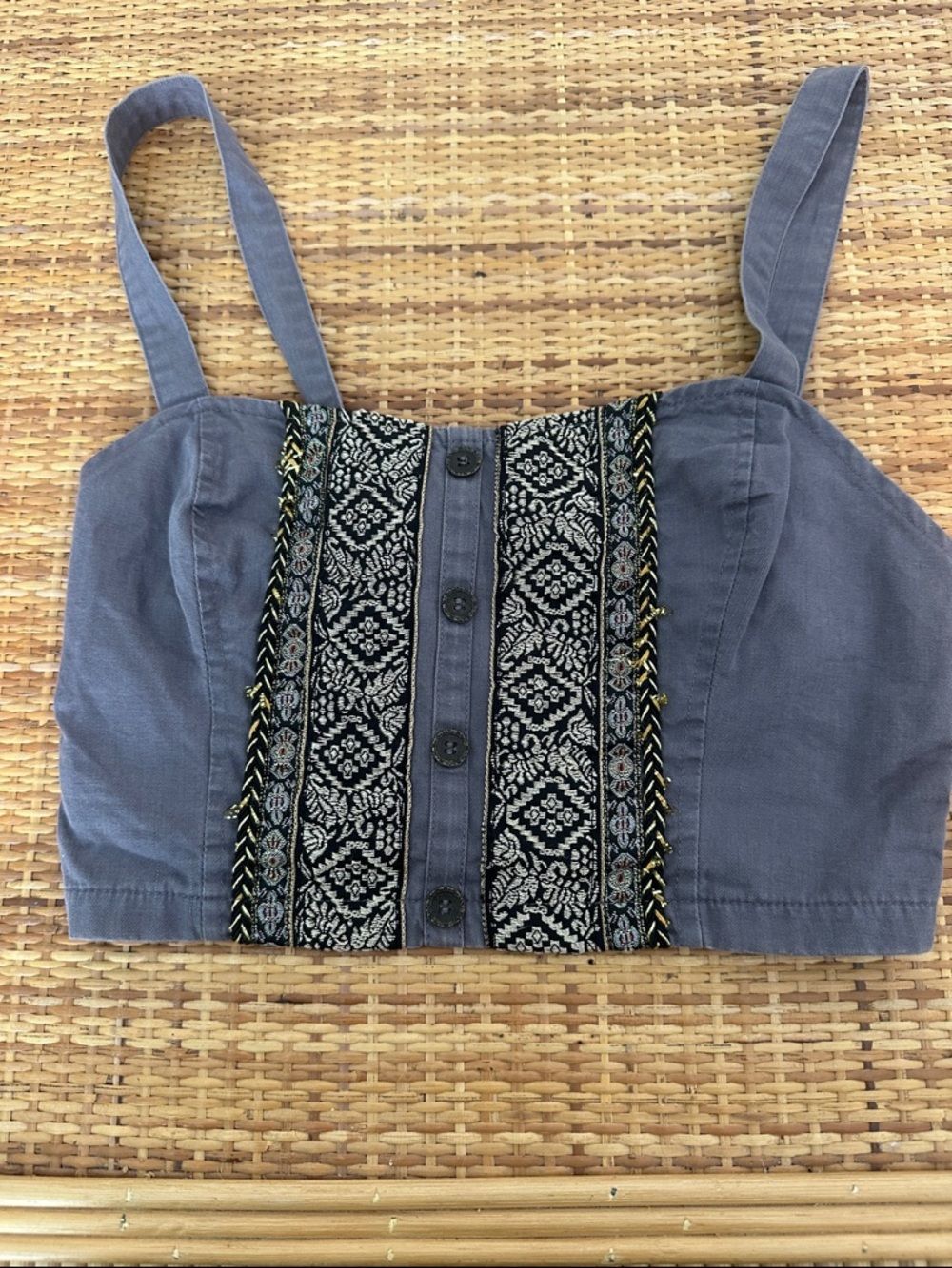 Urban Outfitters Staring at Stars Blue Embroidered Button-Front Crop Top